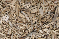 biomass boilers Tynygongl